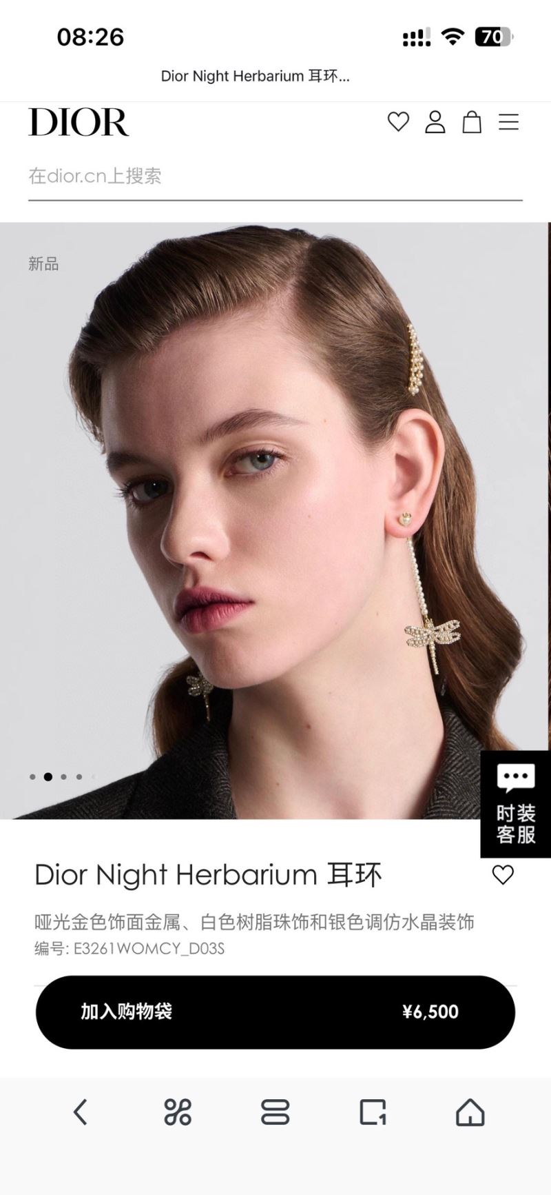 Christian Dior Earrings